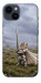 Чохол Knight kitten для iPhone 14
