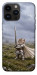 Чохол Knight kitten для iPhone 14 Pro Max