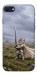 Чохол Knight kitten для iPhone SE (2022)