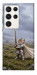Чехол Knight kitten для Galaxy S23 Ultra