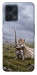 Чехол Knight kitten для Realme 9 Pro+