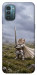 Чехол Knight kitten для Nokia G21