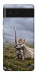 Чехол Knight kitten для Google Pixel 6