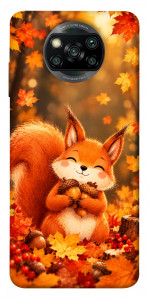 Чехол Осіннє білченя для Xiaomi Poco X3 Pro