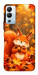 Чехол Осіннє білченя для Infinix Hot 12i