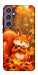 Чехол Осіннє білченя для Galaxy S23 FE