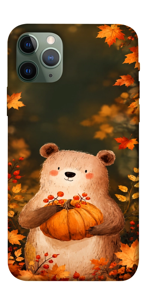 Чехол Осінній ведмежа для iPhone 11 Pro
