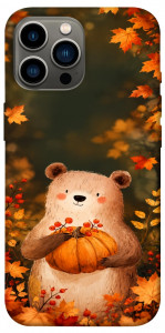 Чехол Осінній ведмежа для iPhone 13 Pro Max