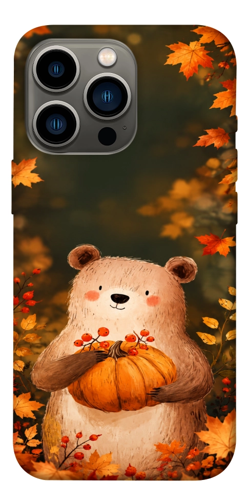 Чохол Осінній ведмежа для iPhone 13 Pro