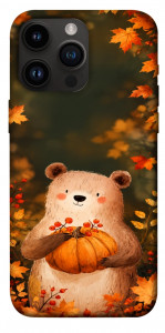 Чохол Осінній ведмежа для iPhone 14 Pro Max