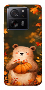 Чохол Осінній ведмежа для Xiaomi 13T