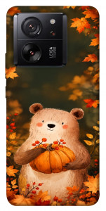 Чохол Осінній ведмежа для Xiaomi 13T Pro