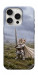 Чехол Knight kitten для iPhone 16 Pro