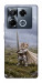 Чехол Knight kitten для Infinix Note 40 Pro 4G