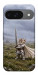Чехол Knight kitten для Google Pixel 10