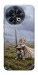 Чехол Knight kitten для TECNO Spark 30 Pro (KL7)