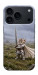 Чохол Knight kitten для iPhone 18 Pro