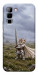 Чохол Knight kitten для Infinix Hot 70