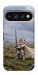 Чехол Knight kitten для Google Pixel 11 Pro XL