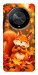 Чехол Осіннє білченя для Huawei Magic6 Lite