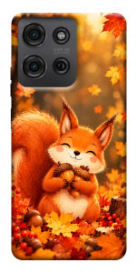 Чехол Осіннє білченя для Motorola Moto G75 5G