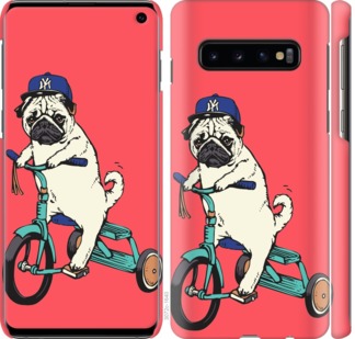 

Чехол Мопс на велосипеде для Samsung Galaxy S10 703030