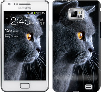 

Чохол Гарний кіт на Samsung Galaxy S2 i9100 116872