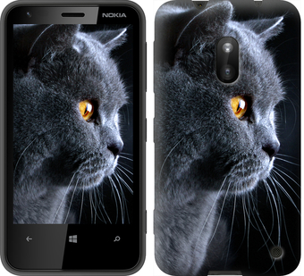 

Чохол Гарний кіт на Nokia Lumia 620 117184
