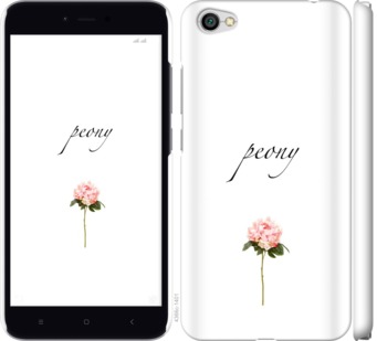

Чехол Пион для Xiaomi Redmi Note 5A 754564