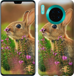 

Чехол Кролик и цветы для Huawei Mate 30 Pro 876244