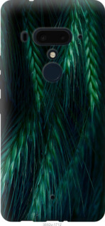 

Чохол Колоски на HTC U12 Plus 942292