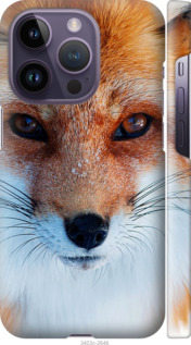 

Чохол Руда лисиця на iPhone 14 Pro 1481740