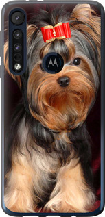 

Чехол Йоркширский терьер для Motorola One Macro 1634940