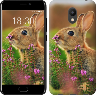 

Чохол Кролик і квіти на Meizu M6 656658