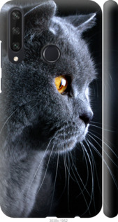 Чохол Гарний кіт на Huawei Y6p