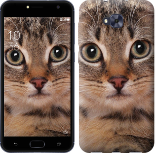 

Чехол Полосатый котик для Asus ZENFONE 4 SELFIE / ZD553KL 655463