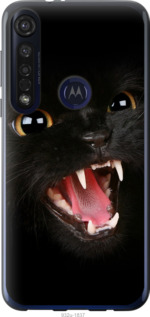 

Чохол Чорна кішка на Motorola G8 Plus 1571791