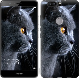 

Чехол Красивый кот для Huawei Honor V8 667250