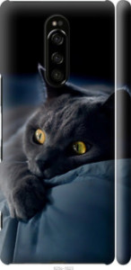 Чехол Дымчатый кот для Sony Xperia XZ4