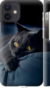 Чохол Димчастий кіт на iPhone 12 Mini