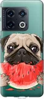 Чехол Мопс и арбуз для OnePlus 10 Pro