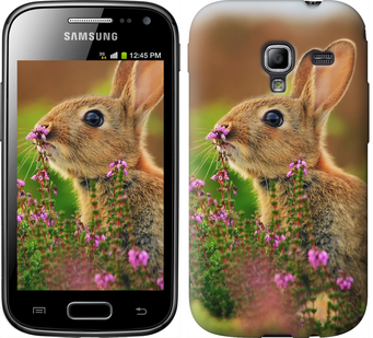 

Чохол Кролик і квіти на Samsung Galaxy Ace 2 I8160 149903