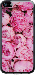 

Чехол Пионы v3 для iPhone SE 1568053