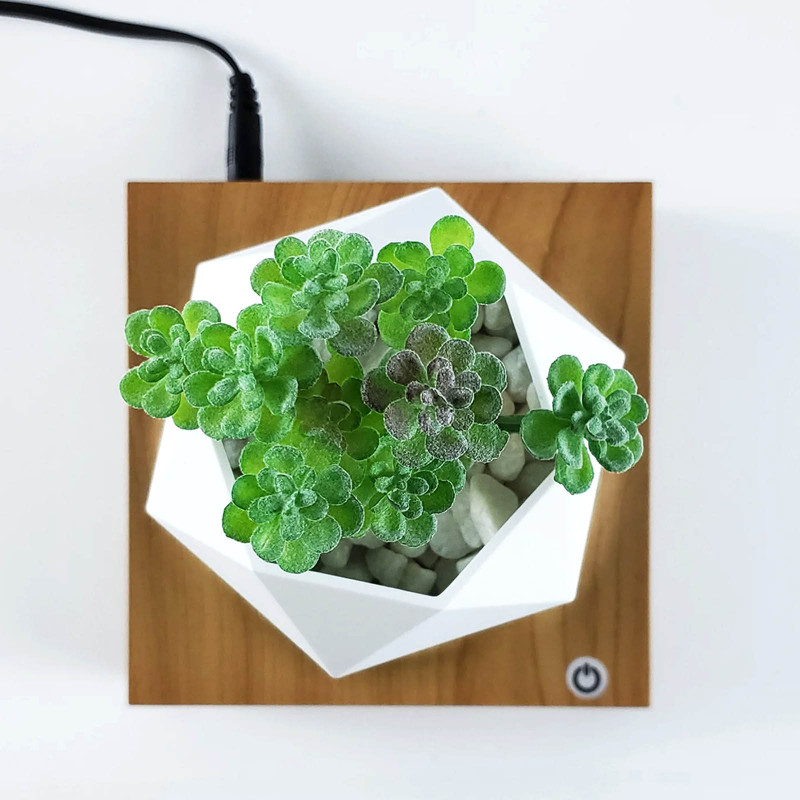 Заказать Магнитный левитационный вазон для цветов HCNT Magnetic Levitating Pot M10-FP (Wood Grain) на vchehle.ua