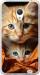 Чехол Котики 2 для Meizu MX3