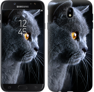 

Чехол Красивый кот для Samsung Galaxy J7 J730 (2017) 626640