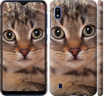 

Чехол Полосатый котик для Samsung Galaxy A10 2019 A105F 711462