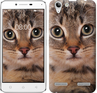 

Чехол Полосатый котик для Lenovo K5 Plus 175647