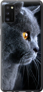Чехол Красивый кот для Samsung Galaxy A41 A415F