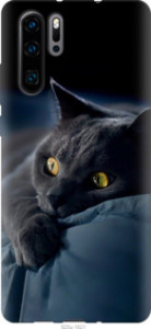 Чехол Дымчатый кот для Oppo Reno 3